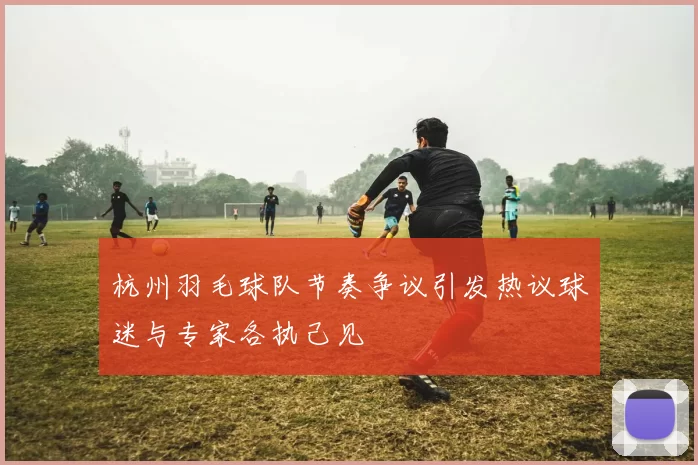 杭州羽毛球队节奏争议引发热议球迷与专家各执己见