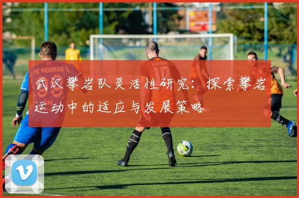 武汉攀岩队灵活性研究：探索攀岩运动中的适应与发展策略