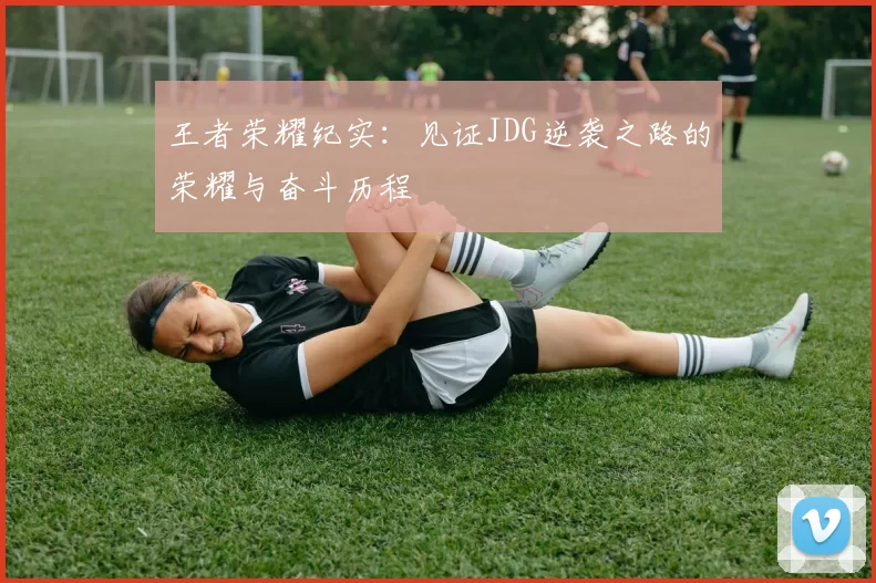 王者荣耀纪实：见证JDG逆袭之路的荣耀与奋斗历程