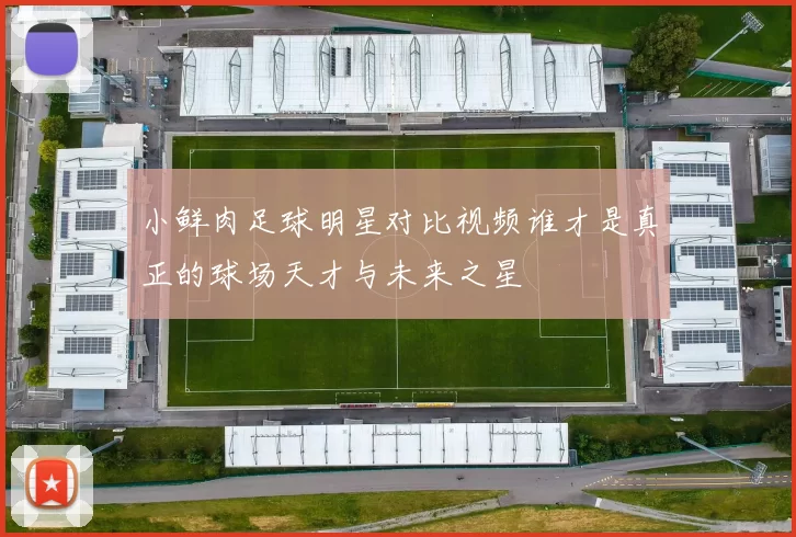 小鲜肉足球明星对比视频谁才是真正的球场天才与未来之星