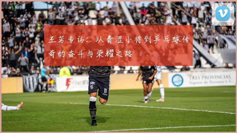 王芳专访：从青涩小将到乒乓球传奇的奋斗与荣耀之路