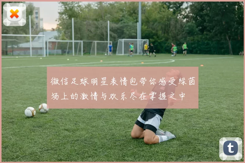 微信足球明星表情包带你感受绿茵场上的激情与欢乐尽在掌握之中