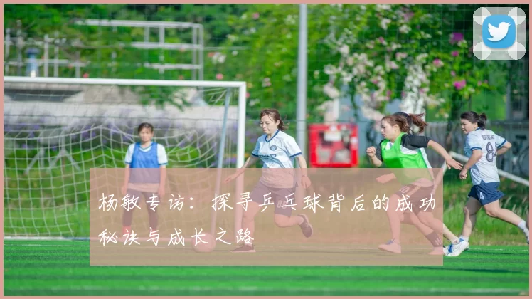 杨敏专访：探寻乒乓球背后的成功秘诀与成长之路