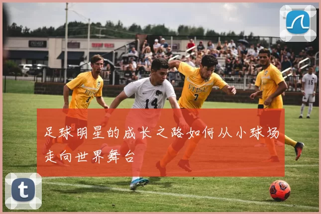 足球明星的成长之路如何从小球场走向世界舞台