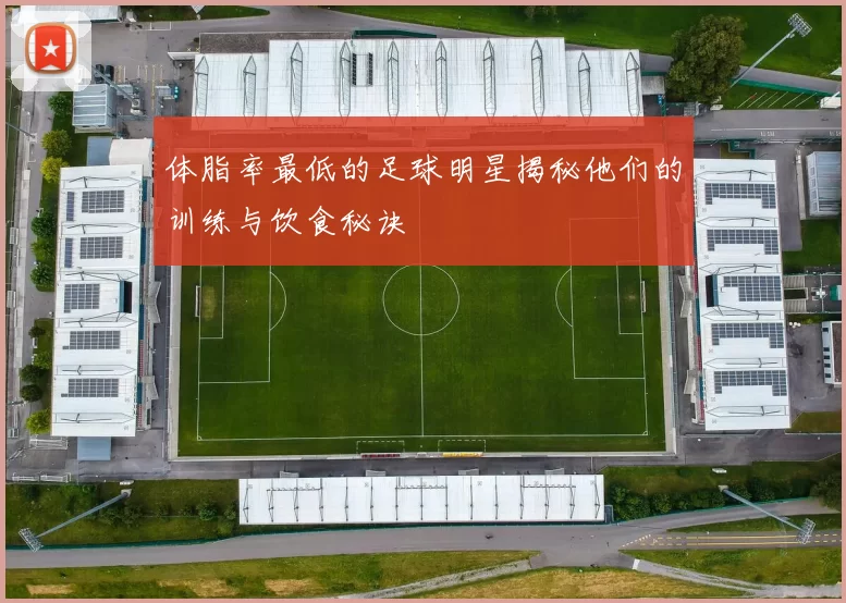 体脂率最低的足球明星揭秘他们的训练与饮食秘诀