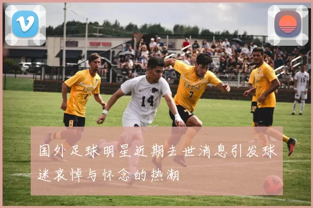 国外足球明星近期去世消息引发球迷哀悼与怀念的热潮