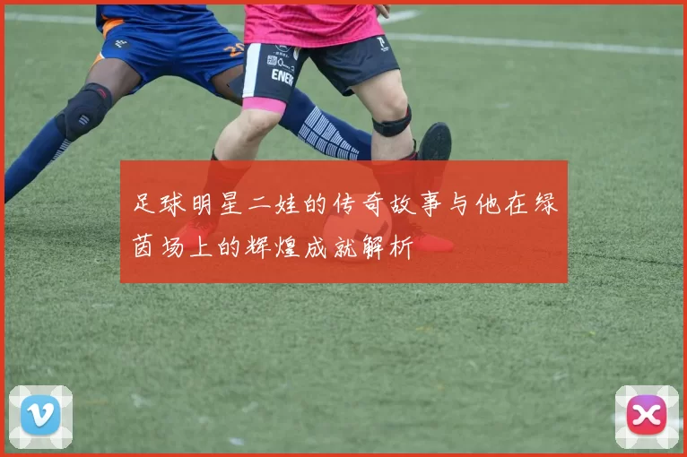足球明星二娃的传奇故事与他在绿茵场上的辉煌成就解析