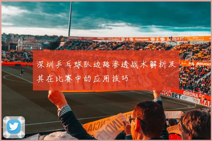 深圳乒乓球队边路渗透战术解析及其在比赛中的应用技巧