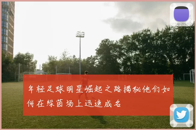 年轻足球明星崛起之路揭秘他们如何在绿茵场上迅速成名