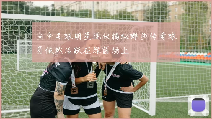当今足球明星现状揭秘哪些传奇球员依然活跃在绿茵场上