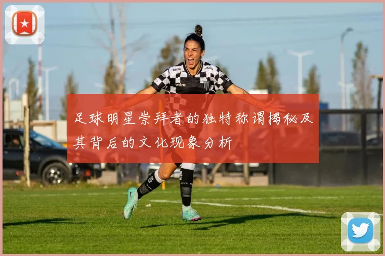 足球明星崇拜者的独特称谓揭秘及其背后的文化现象分析